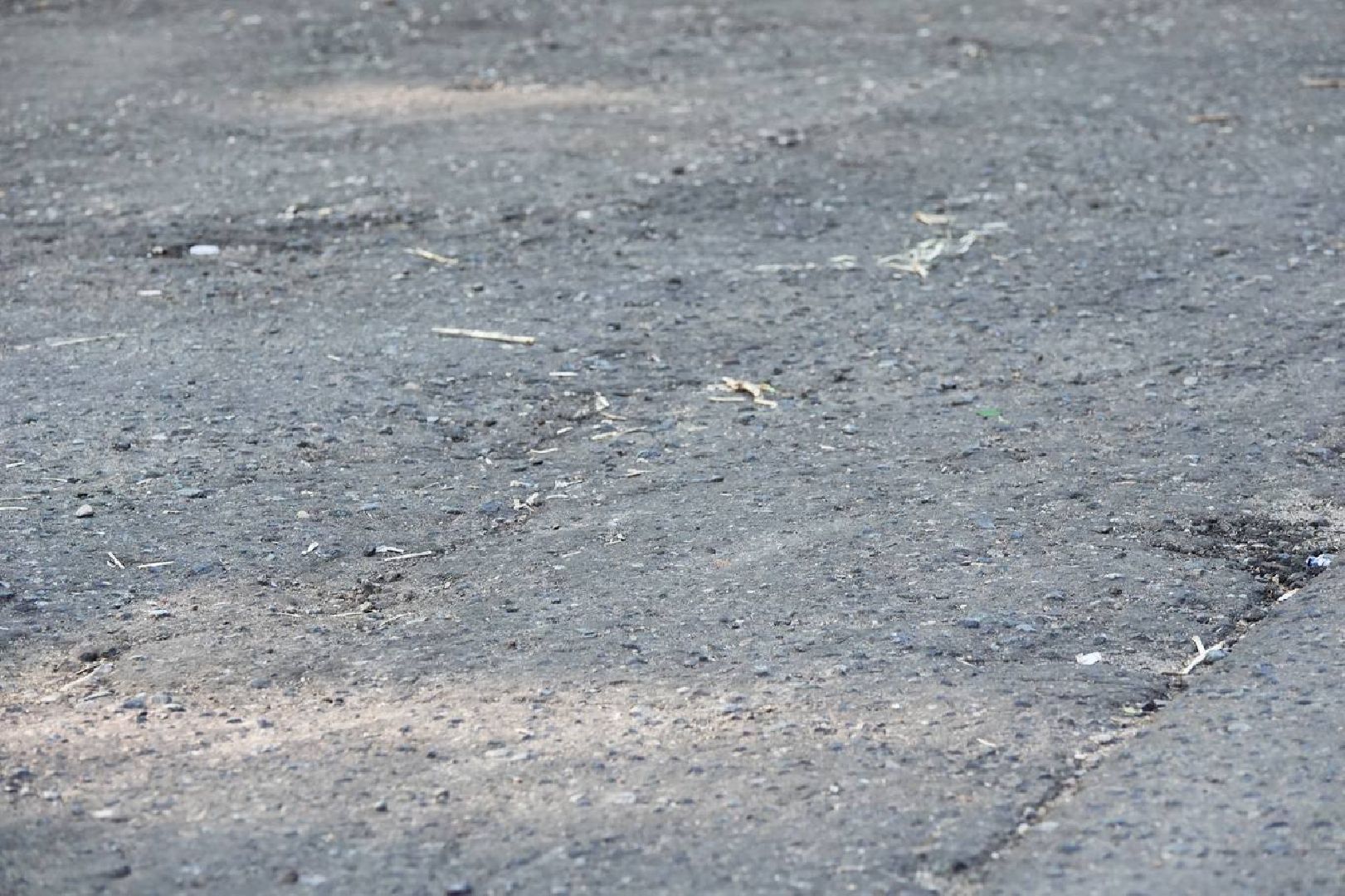 сергиев посад, выездная администрация, жители,