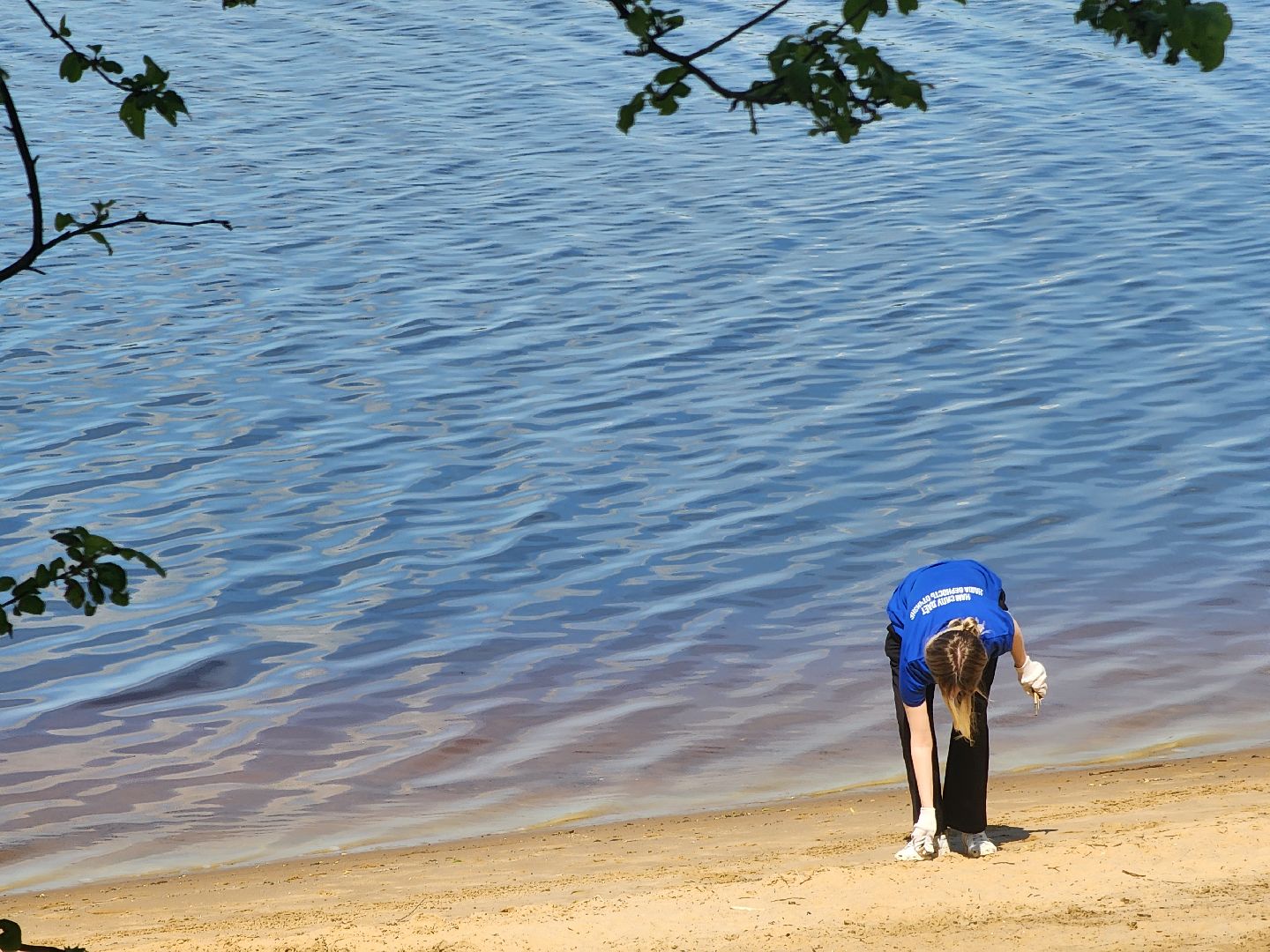 Дубна, День Волги, Волга, Чистота, Экология, Волонтеры, Субботник,
