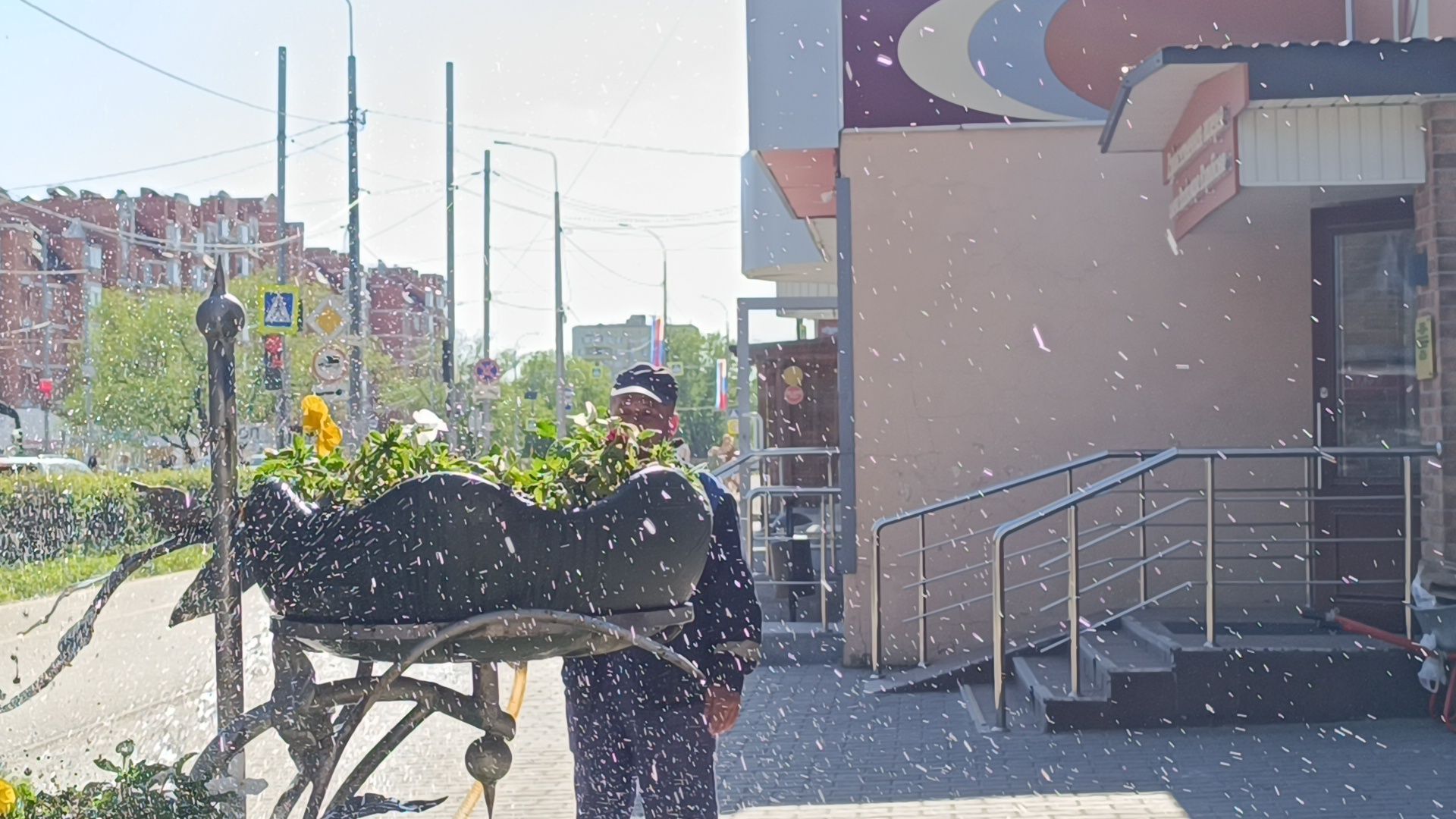 цветы, лобня, благоустройство,