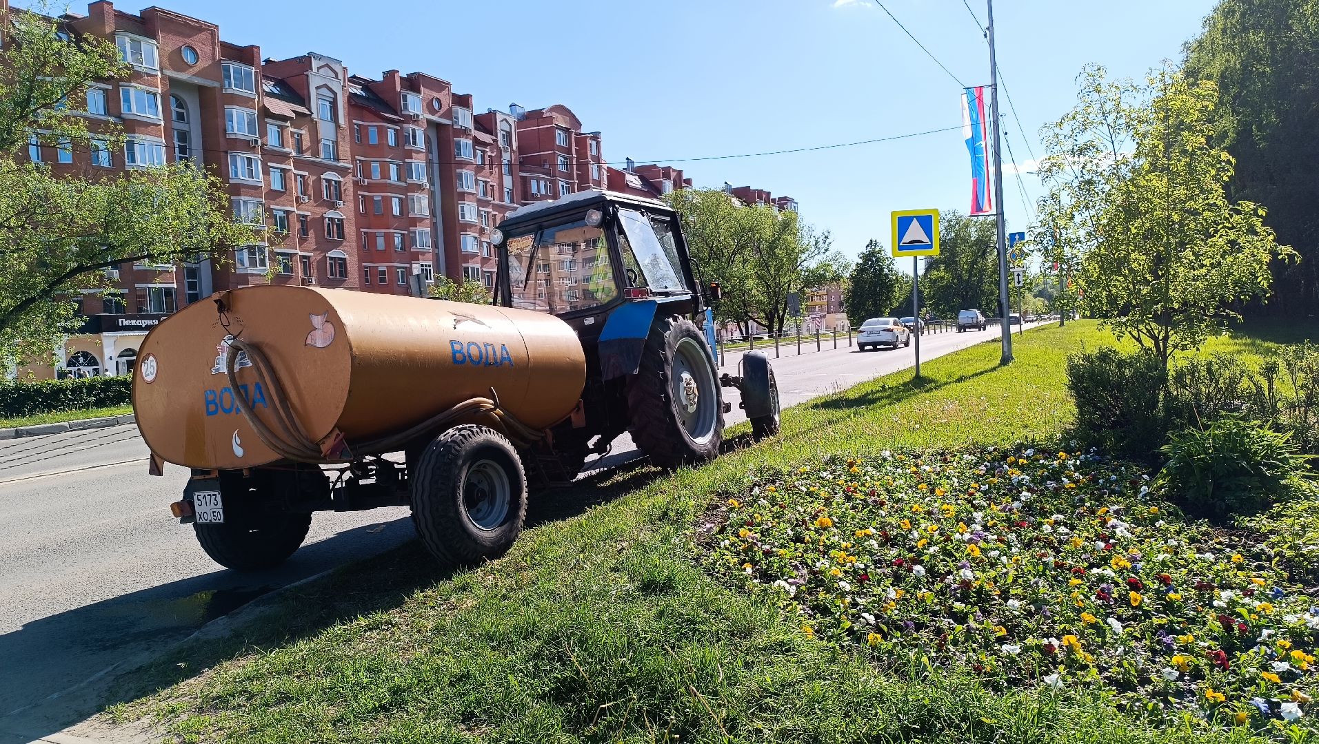 цветы, лобня, благоустройство,