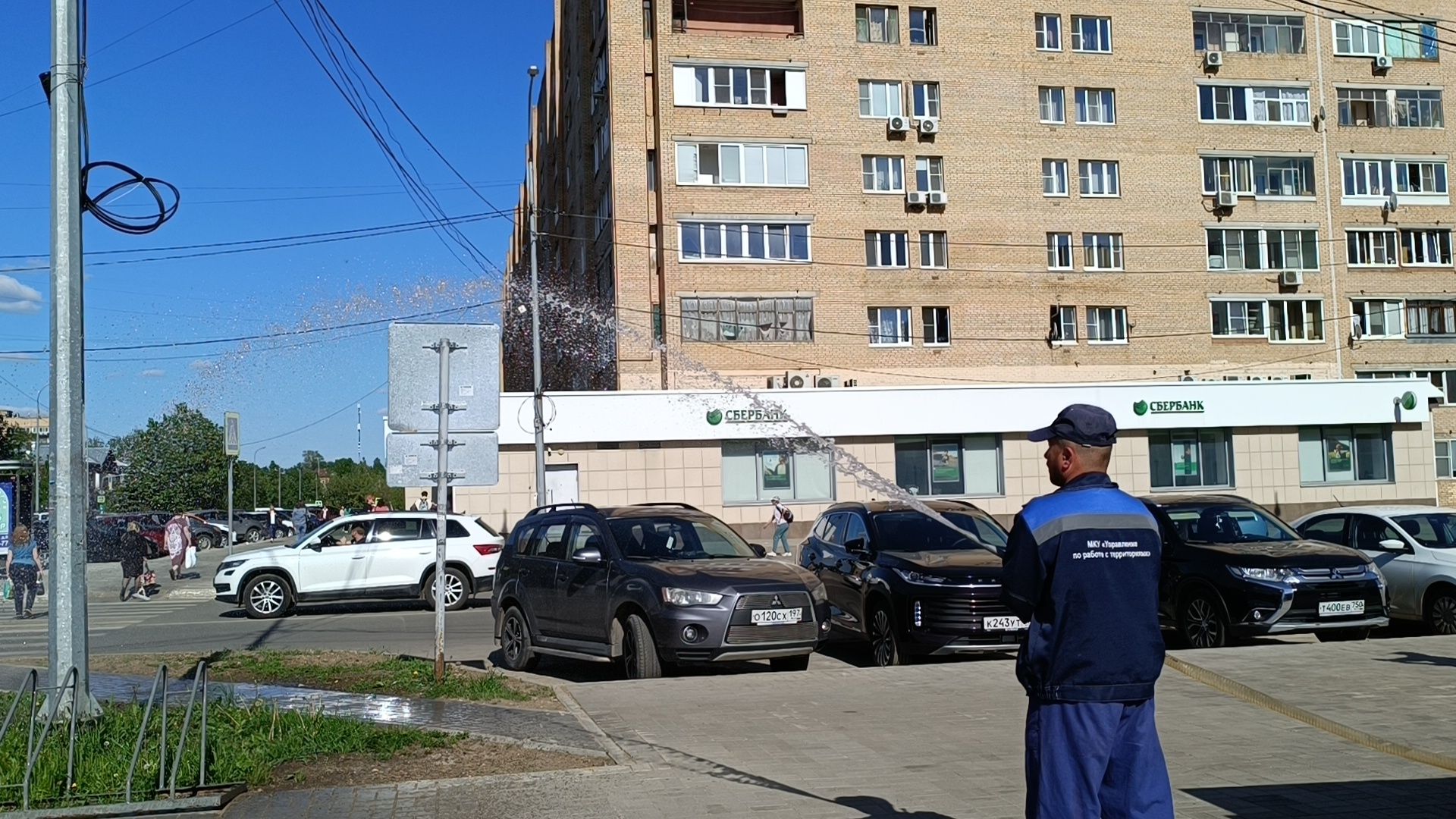 цветы, лобня, благоустройство,