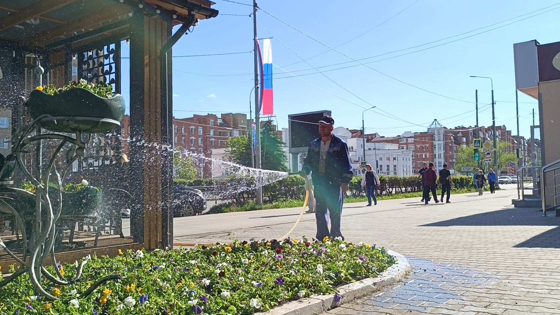 цветы, лобня, благоустройство,