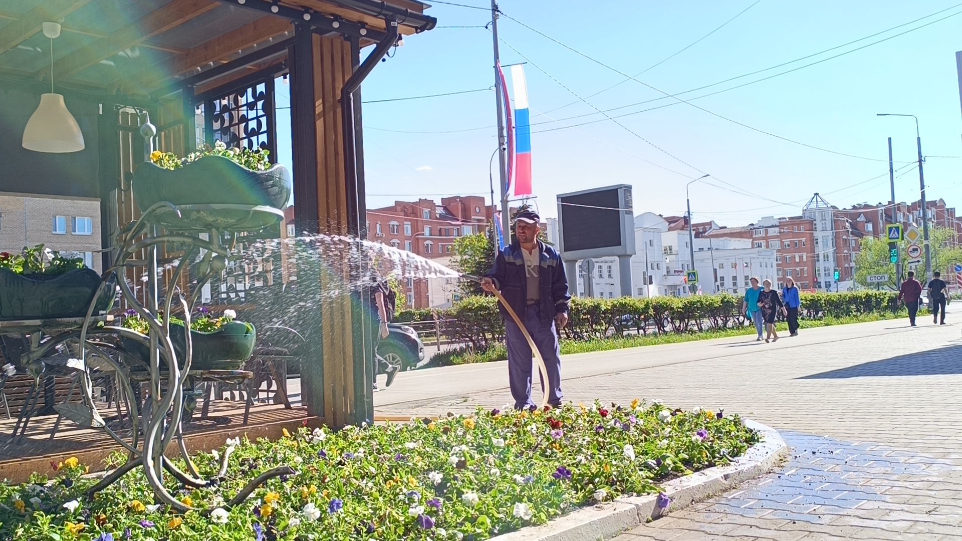 цветы, лобня, благоустройство,