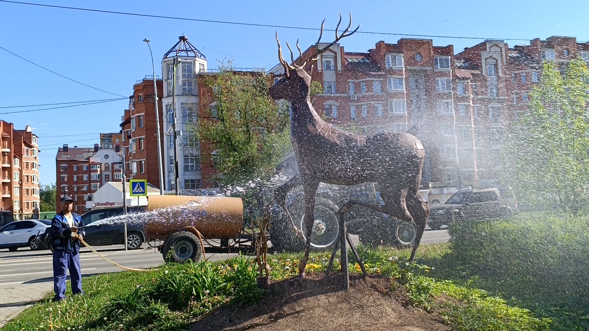 цветы, лобня, благоустройство,