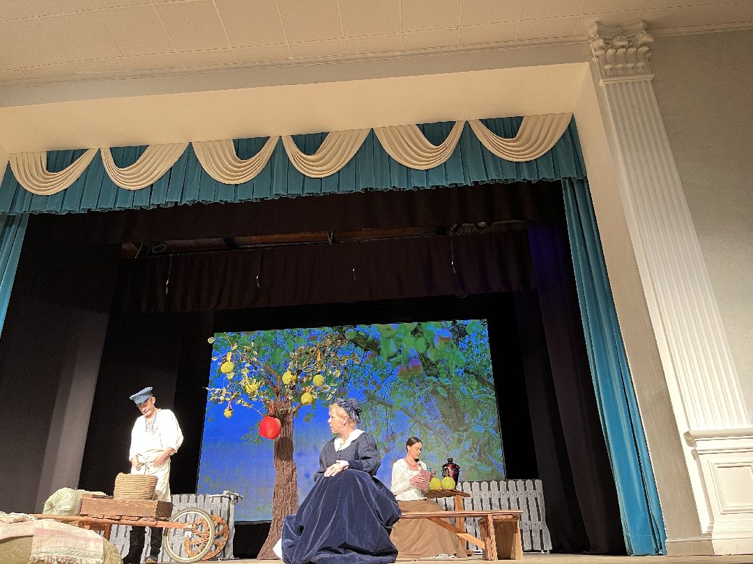 Шаховская, театр, спектакль