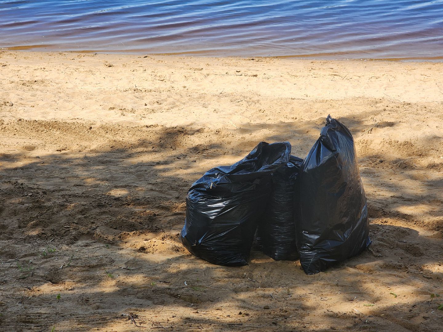 Дубна, День Волги, Субботник, Молодая Гвардия, Уборка, Экологии,