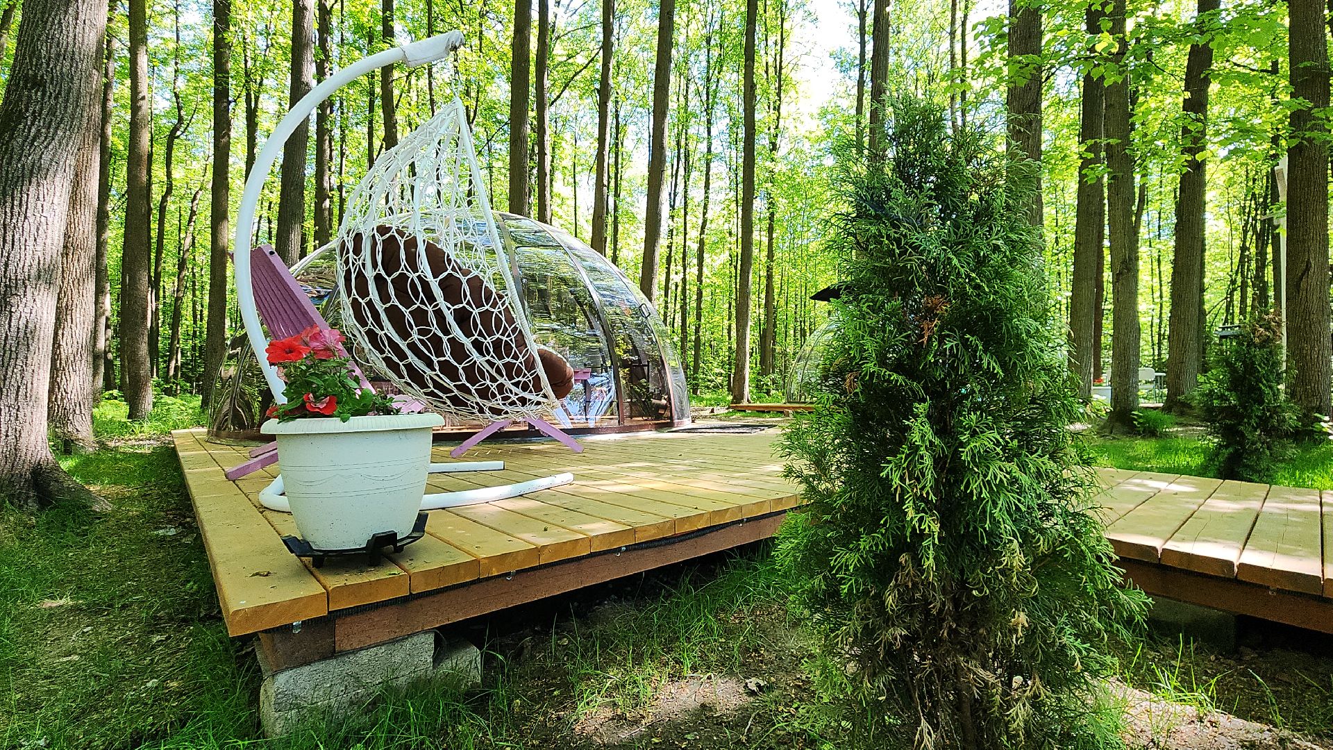 электросталь, мой город, жители города, бизнес, бизнес в подмосковье, бизнес встреча, предприниматели, предприниматель, предпринимательская деятельность, предпринимательство,