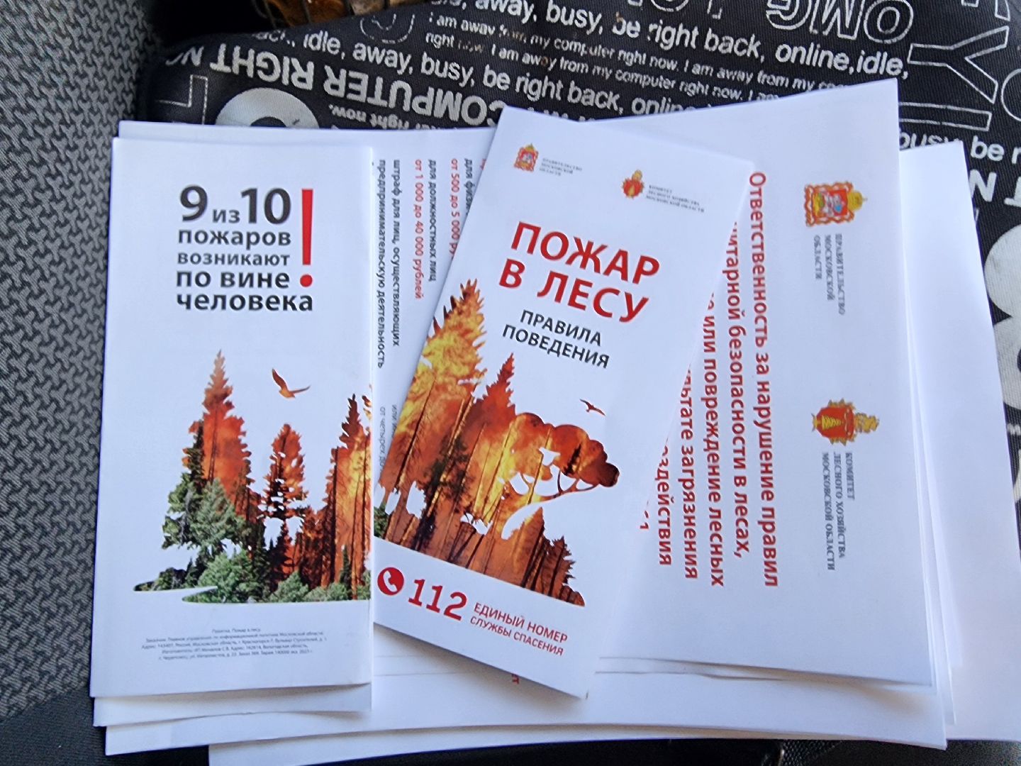 серпухов, подмосковье, лесничие, пожарная безопасность,