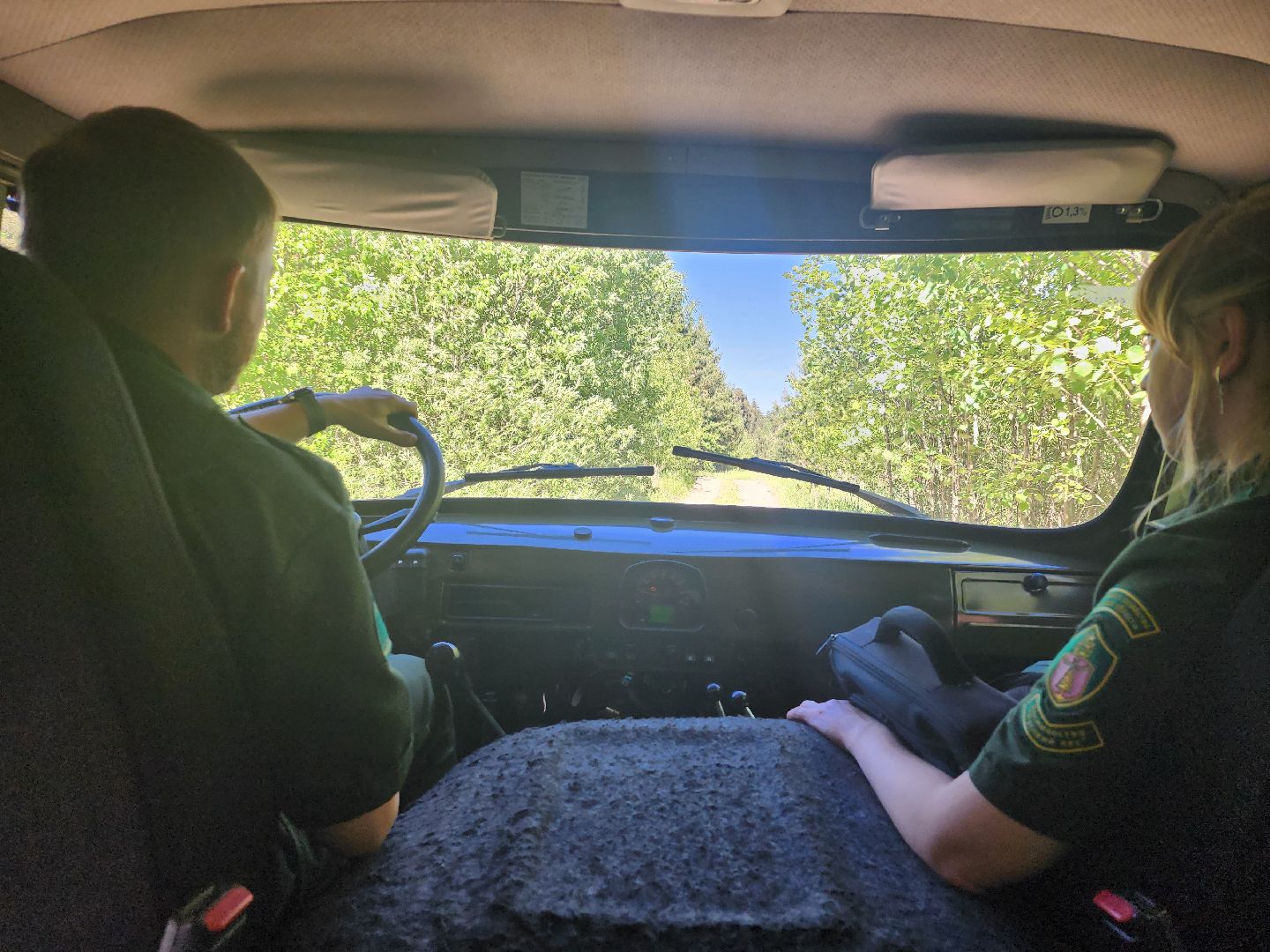 серпухов, подмосковье, лесничие, пожарная безопасность,