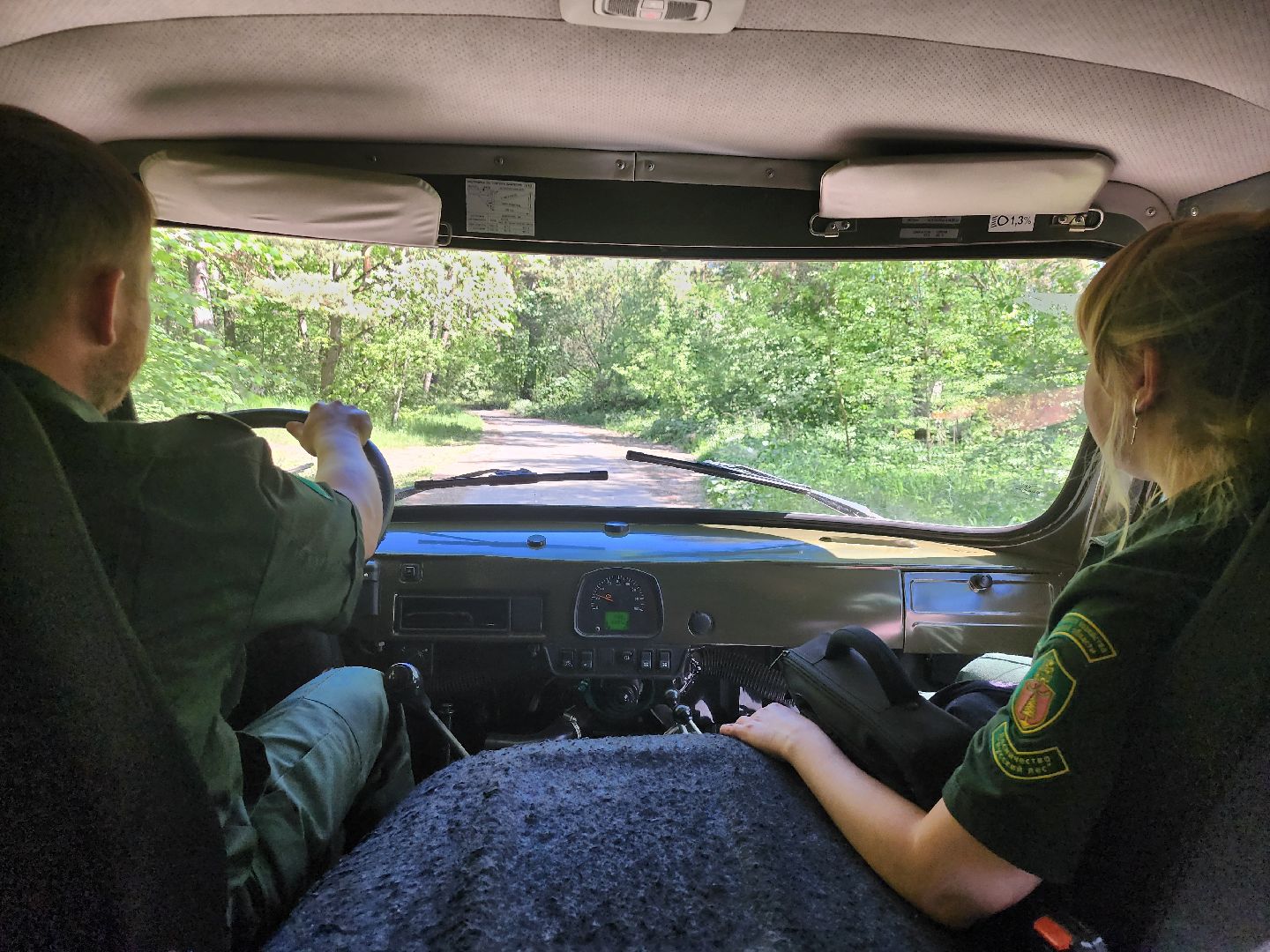 серпухов, подмосковье, лесничие, пожарная безопасность,