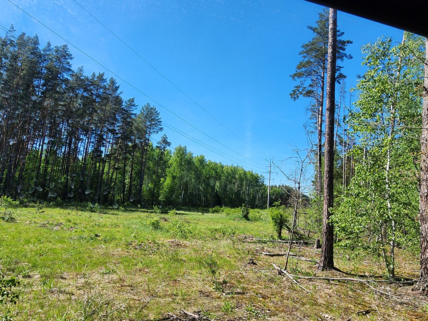 серпухов, подмосковье, лесничие, пожарная безопасность,