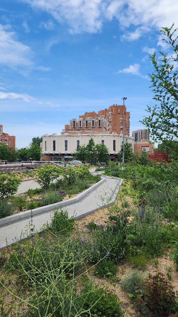 Московский губернский театр, Губернатор Московской области Андрей Воробьев, Ленинградский щелкунчик, московская премьера, военно-исторический спектакль, блокадная сказка Дениса Нефедова, 80-летие полного освобождения Ленинграда от фашистской блокады, Московский Художественный Театр Комедии, Институт театрального искусства имени Народного артиста СССР Кобзона, Год Семьи,Санкт-Петербург, Блокада, Кошки Ленинграда,