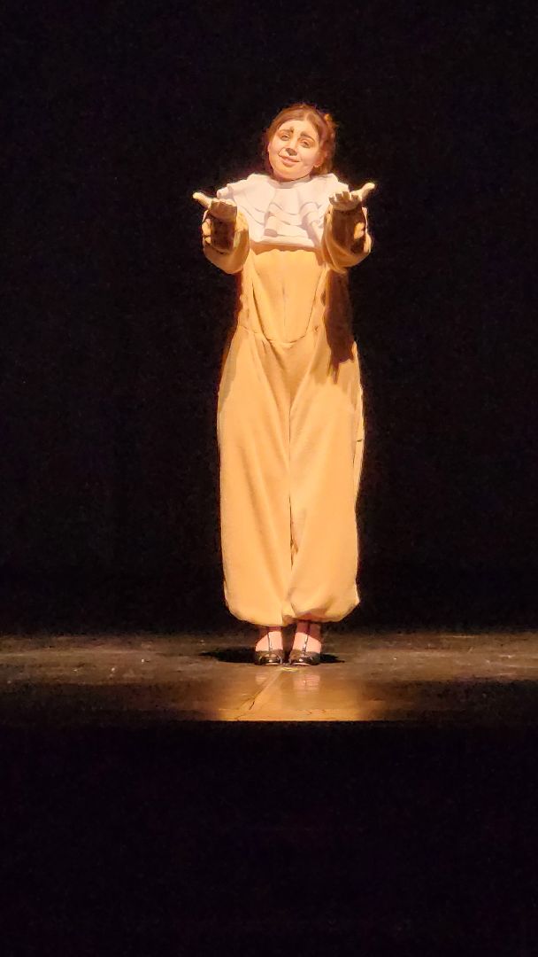 Московский губернский театр, Губернатор Московской области Андрей Воробьев, Ленинградский щелкунчик, московская премьера, военно-исторический спектакль, блокадная сказка Дениса Нефедова, 80-летие полного освобождения Ленинграда от фашистской блокады, Московский Художественный Театр Комедии, Институт театрального искусства имени Народного артиста СССР Кобзона, Год Семьи,Санкт-Петербург, Блокада, Кошки Ленинграда,