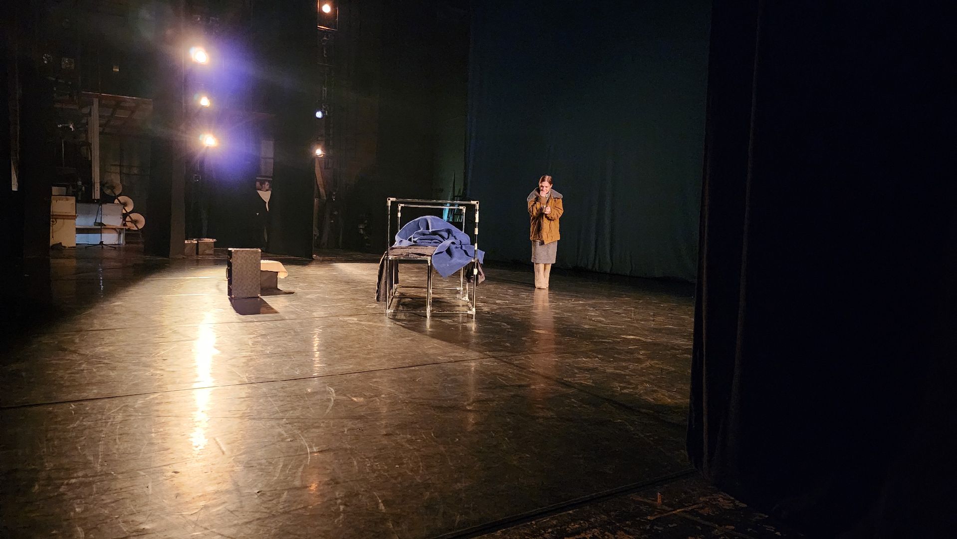 Московский губернский театр, Губернатор Московской области Андрей Воробьев, Ленинградский щелкунчик, московская премьера, военно-исторический спектакль, блокадная сказка Дениса Нефедова, 80-летие полного освобождения Ленинграда от фашистской блокады, Московский Художественный Театр Комедии, Институт театрального искусства имени Народного артиста СССР Кобзона, Год Семьи,Санкт-Петербург, Блокада, Кошки Ленинграда,