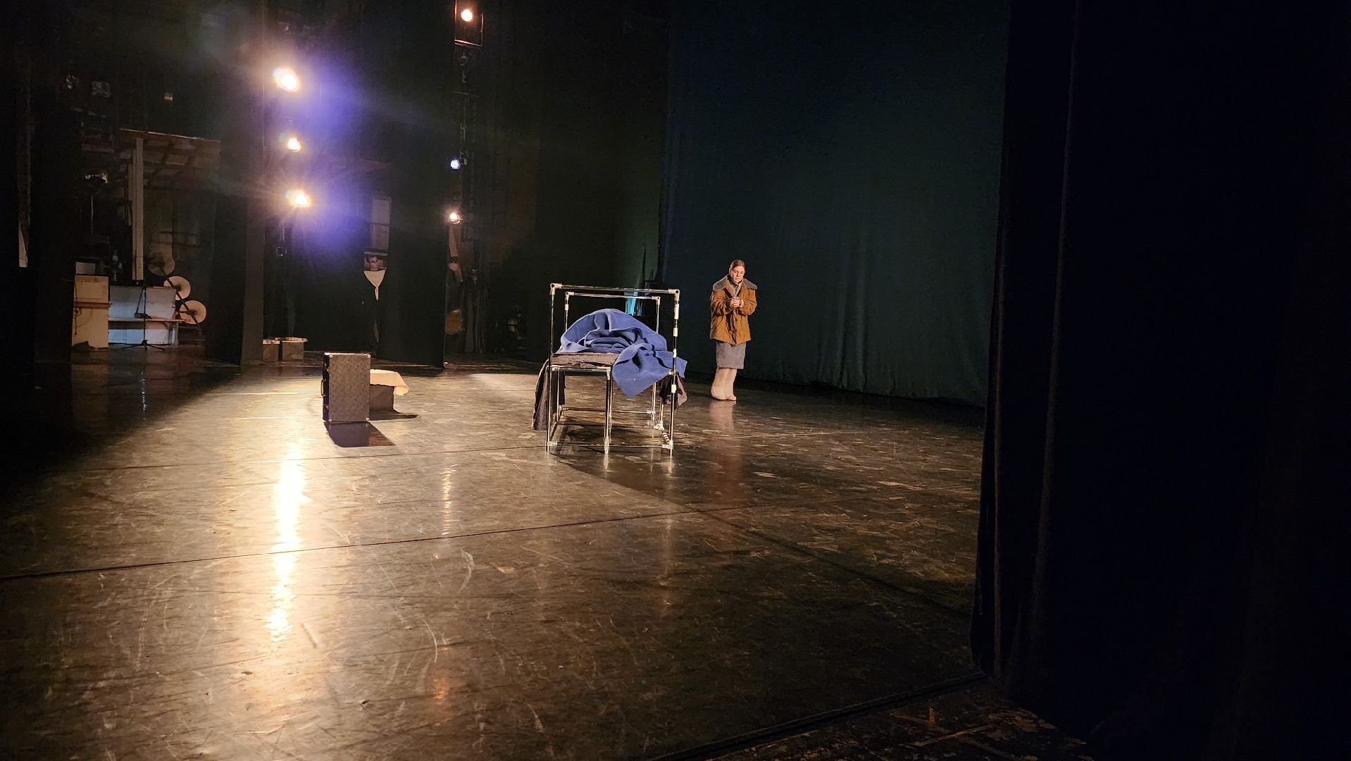 Московский губернский театр, Губернатор Московской области Андрей Воробьев, Ленинградский щелкунчик, московская премьера, военно-исторический спектакль, блокадная сказка Дениса Нефедова, 80-летие полного освобождения Ленинграда от фашистской блокады, Московский Художественный Театр Комедии, Институт театрального искусства имени Народного артиста СССР Кобзона, Год Семьи,Санкт-Петербург, Блокада, Кошки Ленинграда,