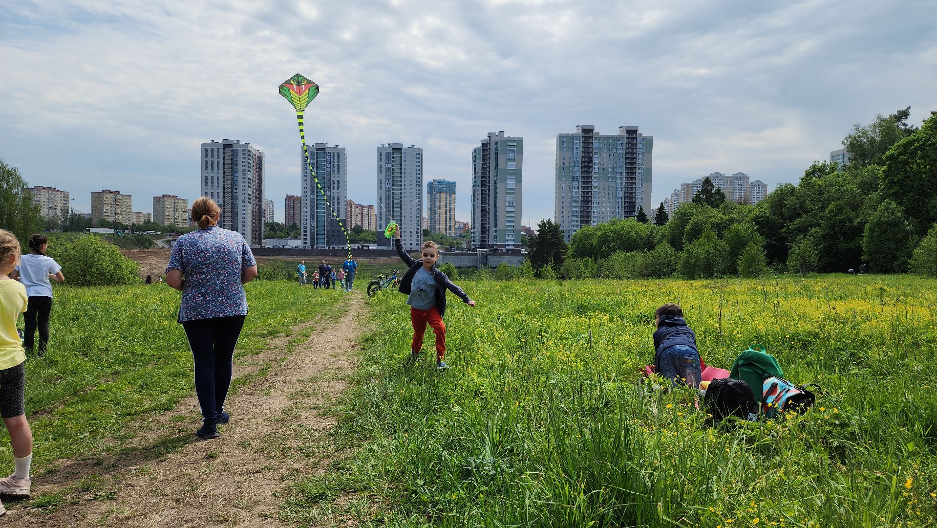 красногорск, черневская поляна, воздушные змеи, турнир, год семьи,гоголь, экология, лес будущего,