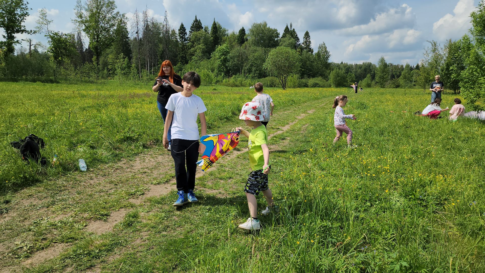 красногорск, черневская поляна, воздушные змеи, турнир, год семьи,гоголь, экология, лес будущего,