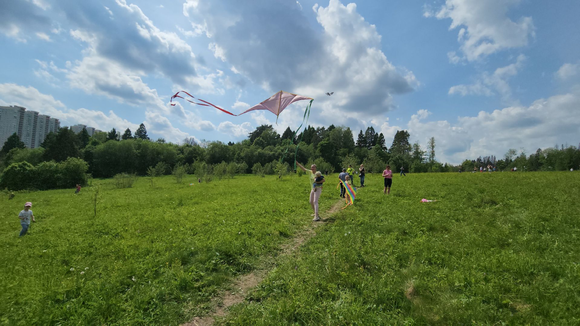 красногорск, черневская поляна, воздушные змеи, турнир, год семьи,гоголь, экология, лес будущего,