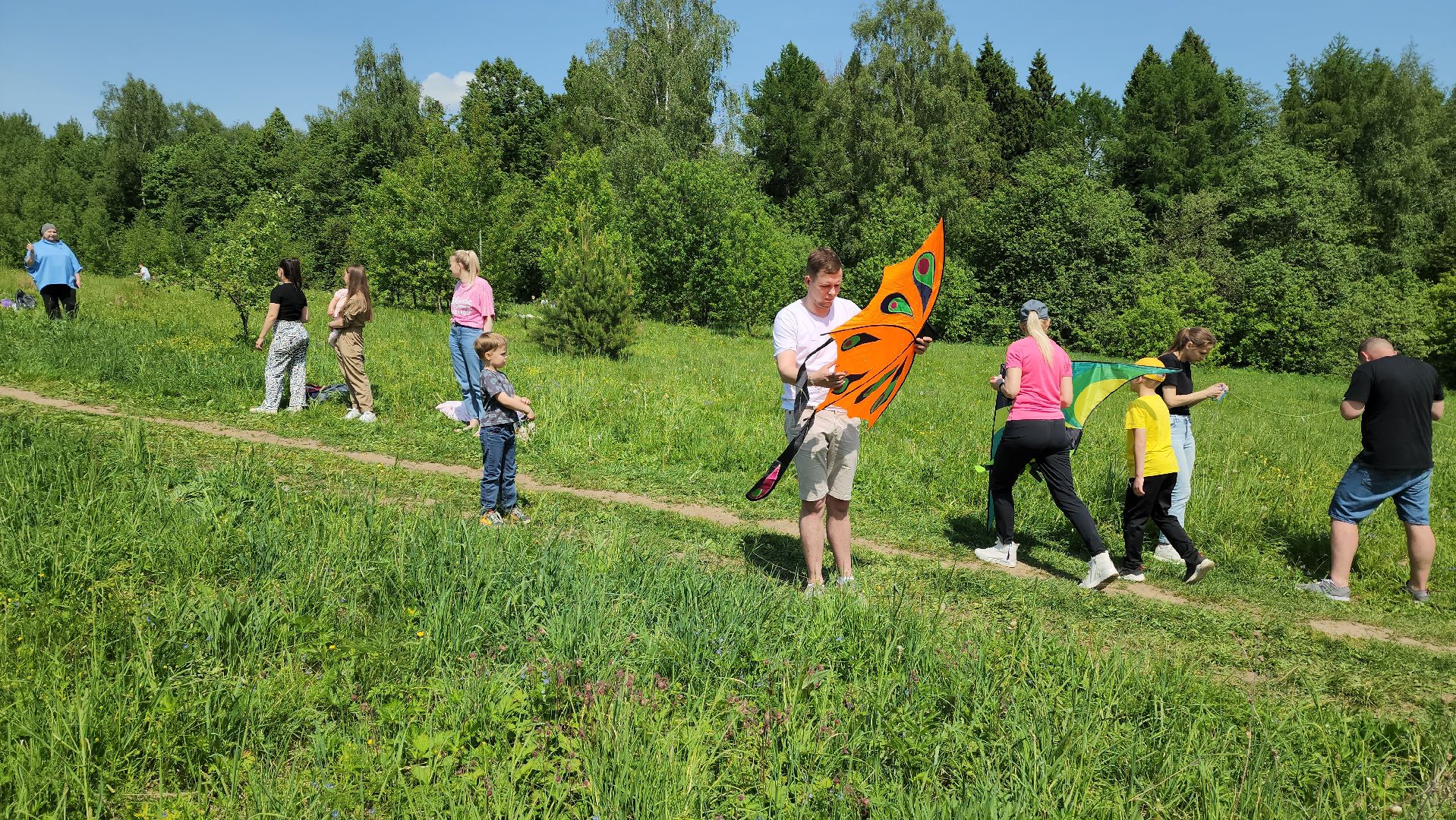 красногорск, черневская поляна, воздушные змеи, турнир, год семьи,гоголь, экология, лес будущего,