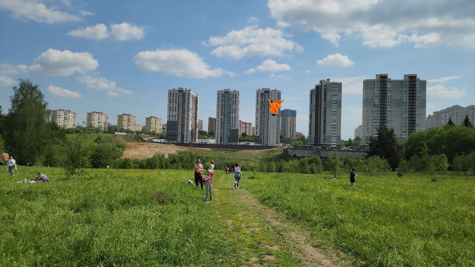 красногорск, черневская поляна, воздушные змеи, турнир, год семьи,гоголь, экология, лес будущего,