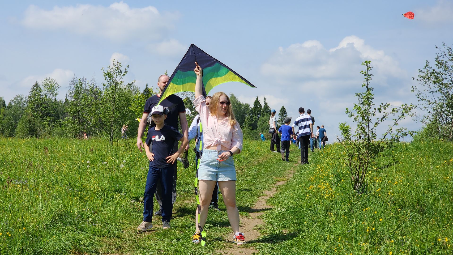 красногорск, черневская поляна, воздушные змеи, турнир, год семьи,гоголь, экология, лес будущего,
