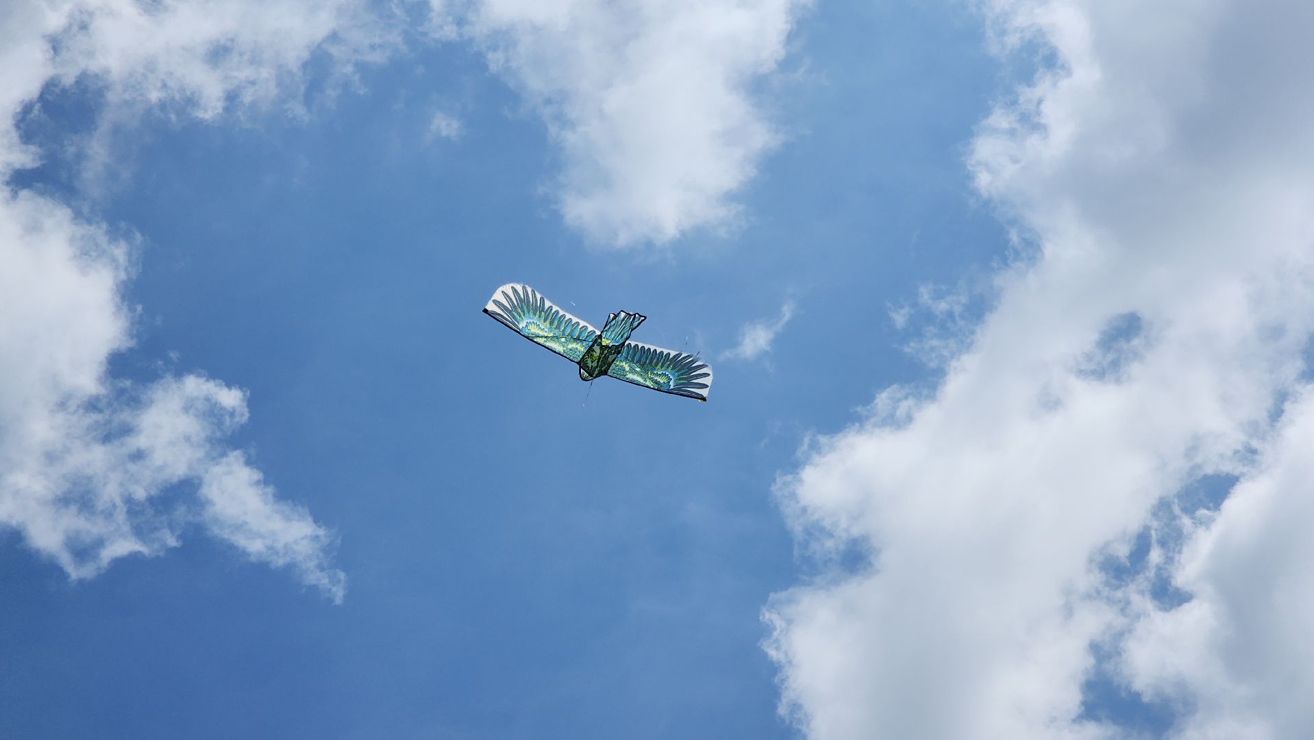 красногорск, черневская поляна, воздушные змеи, турнир, год семьи,гоголь, экология, лес будущего,