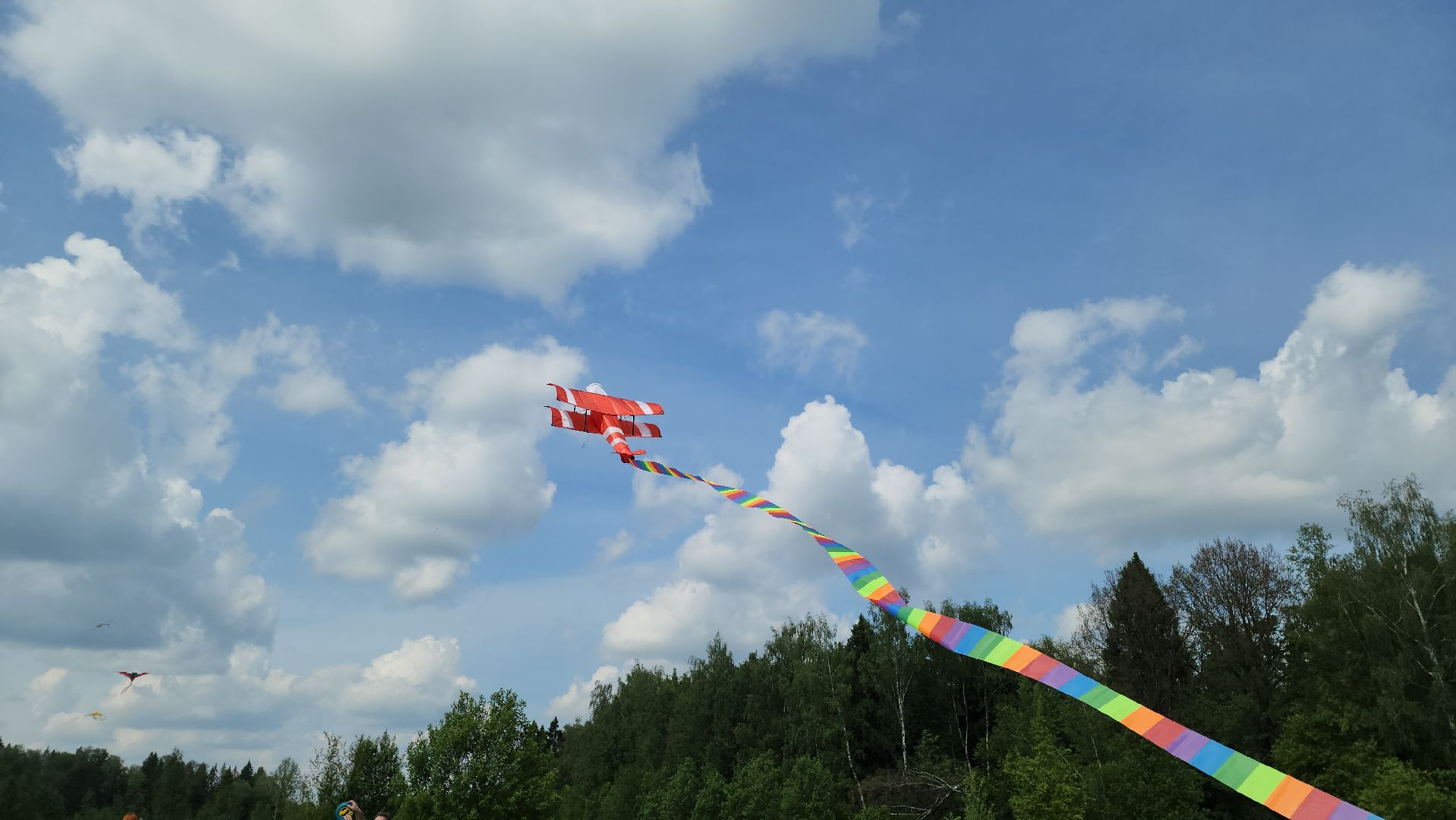 красногорск, черневская поляна, воздушные змеи, турнир, год семьи,гоголь, экология, лес будущего,