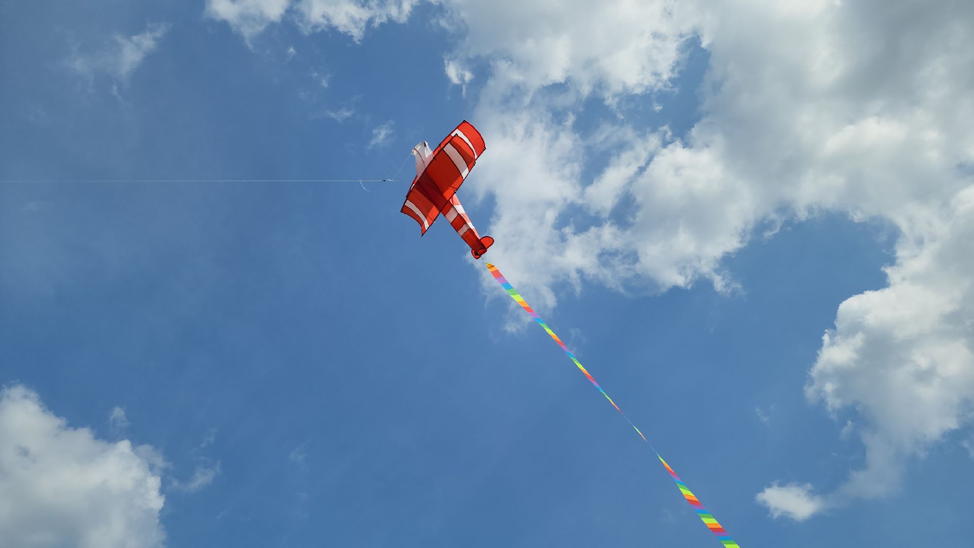 красногорск, черневская поляна, воздушные змеи, турнир, год семьи,гоголь, экология, лес будущего,