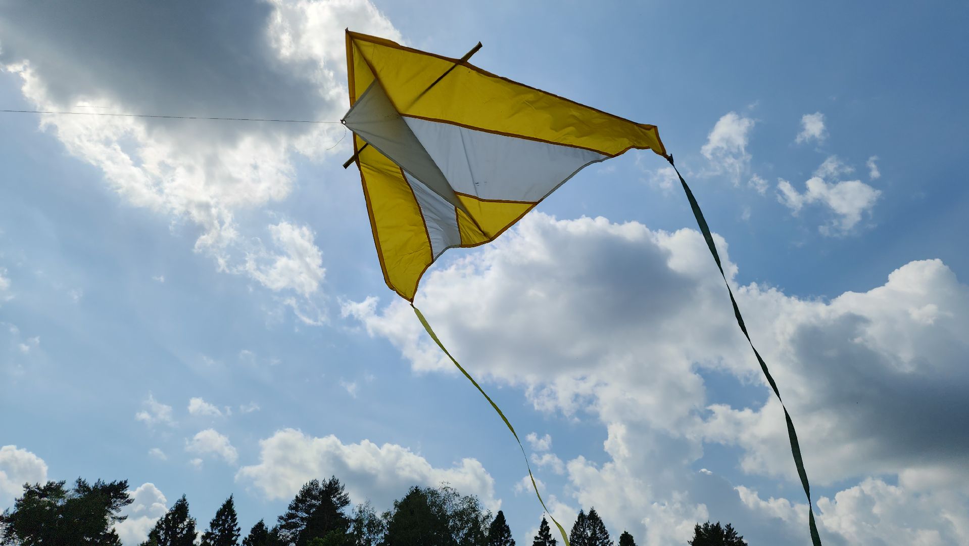 красногорск, черневская поляна, воздушные змеи, турнир, год семьи,гоголь, экология, лес будущего,