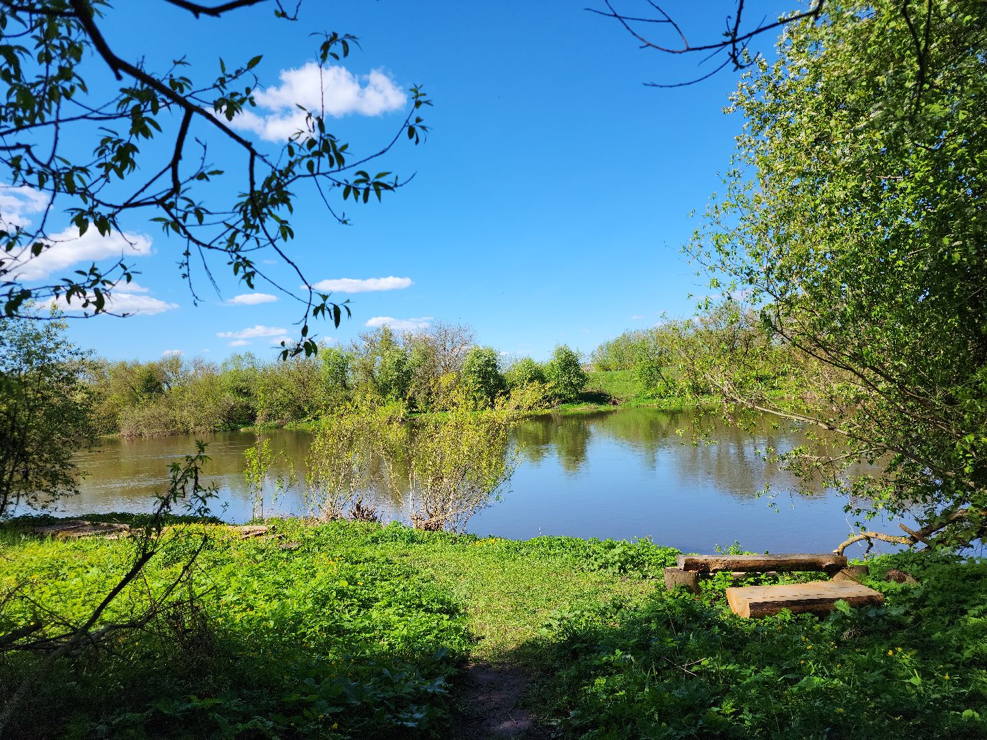 Звенигород, Туризм, спорт,Рекорды России,