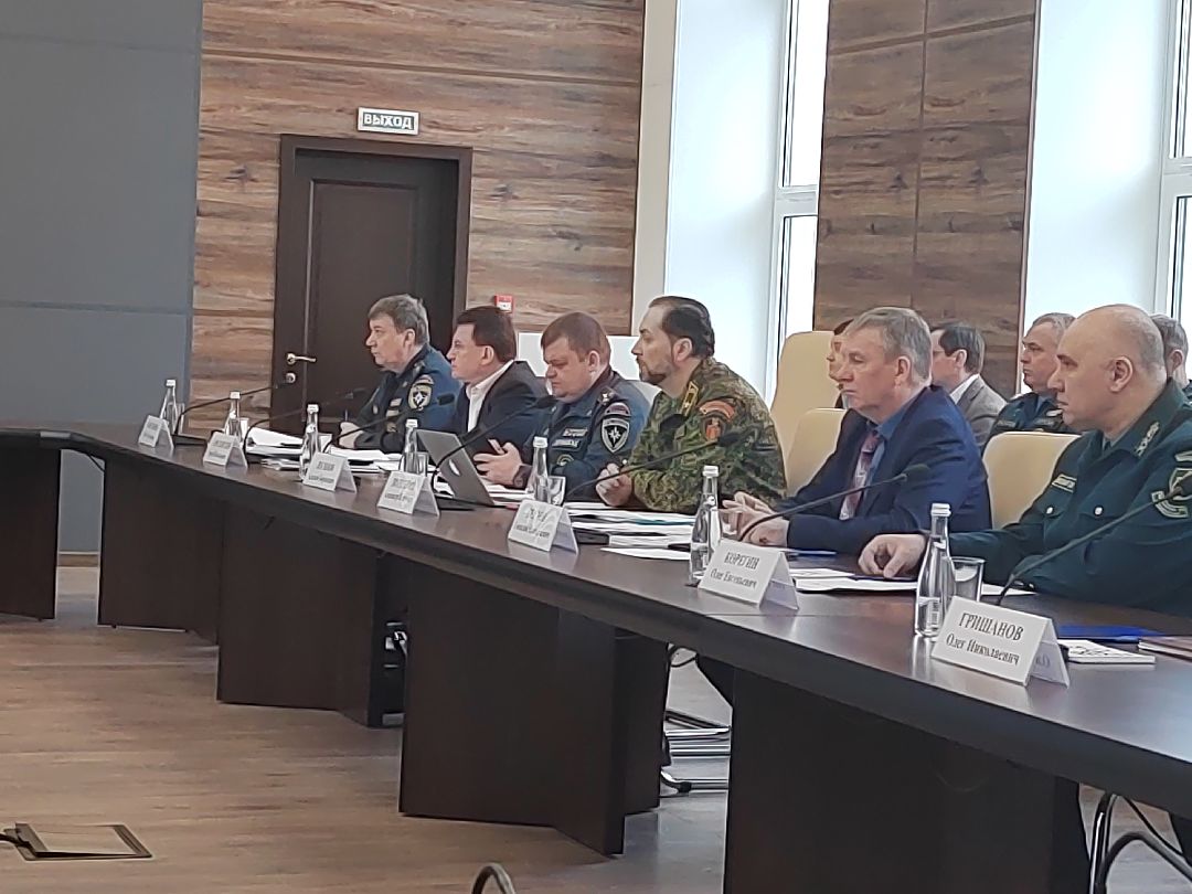 Пушкино, Пушкинский округ, пожар, МЧС, предупреждение спасение помощь, весна в Подмосковье, пожароопасный сезон