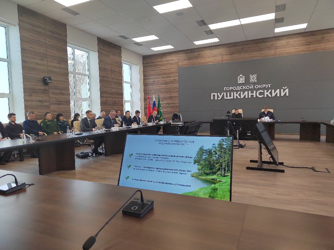 Пушкино, Пушкинский округ, пожар, МЧС, предупреждение спасение помощь, весна в Подмосковье, пожароопасный сезон