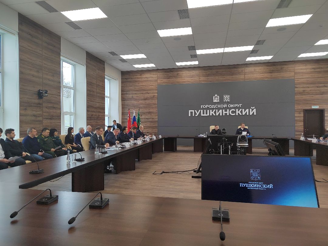 Пушкино, Пушкинский округ, пожар, МЧС, предупреждение спасение помощь, весна в Подмосковье, пожароопасный сезон