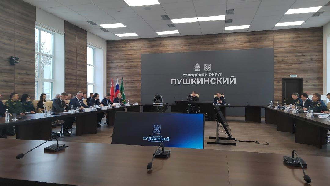 Пушкино, Пушкинский округ, пожар, МЧС, предупреждение спасение помощь, весна в Подмосковье, пожароопасный сезон