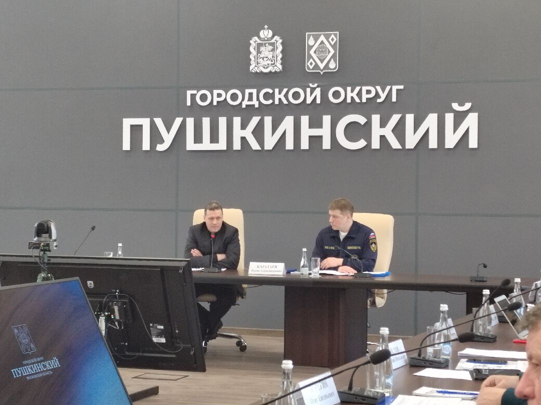 Пушкино, Пушкинский округ, пожар, МЧС, предупреждение спасение помощь, весна в Подмосковье, пожароопасный сезон