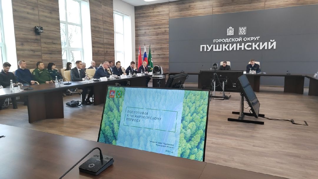 Пушкино, Пушкинский округ, пожар, МЧС, предупреждение спасение помощь, весна в Подмосковье, пожароопасный сезон