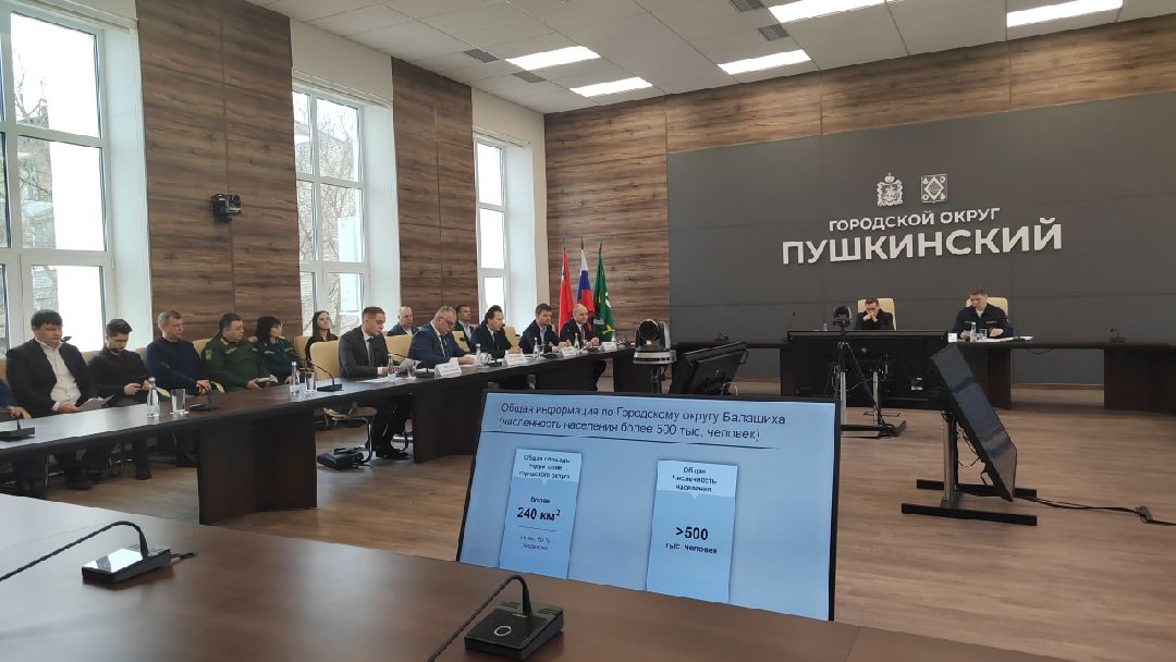 Пушкино, Пушкинский округ, пожар, МЧС, предупреждение спасение помощь, весна в Подмосковье, пожароопасный сезон