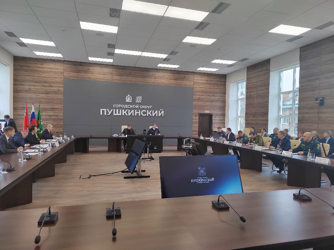 Пушкино, Пушкинский округ, пожар, МЧС, предупреждение спасение помощь, весна в Подмосковье, пожароопасный сезон