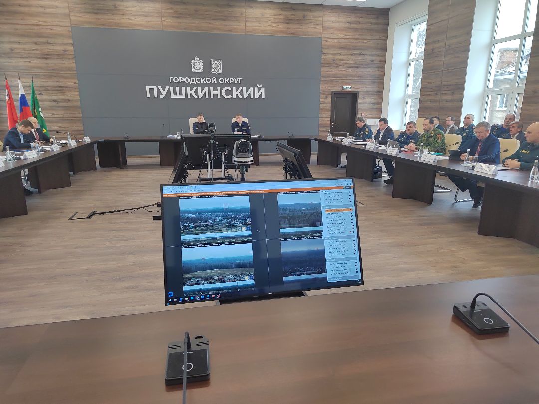 Пушкино, Пушкинский округ, пожар, МЧС, предупреждение спасение помощь, весна в Подмосковье, пожароопасный сезон