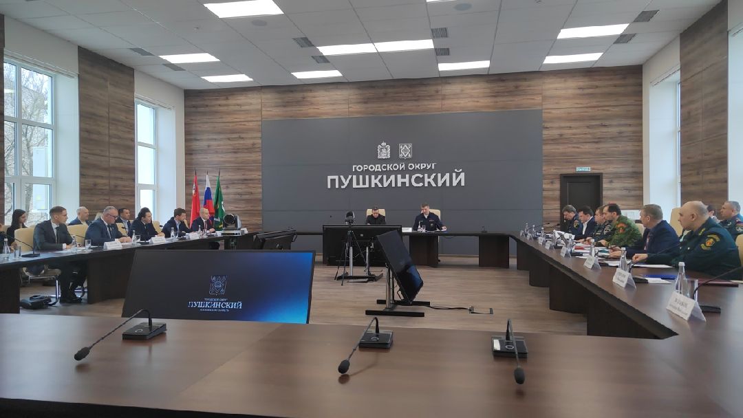 Пушкино, Пушкинский округ, пожар, МЧС, предупреждение спасение помощь, весна в Подмосковье, пожароопасный сезон