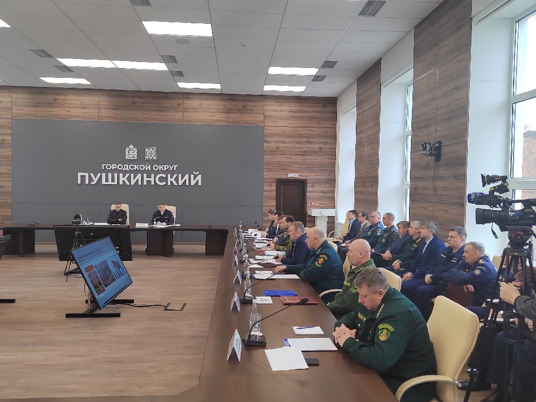 Пушкино, Пушкинский округ, пожар, МЧС, предупреждение спасение помощь, весна в Подмосковье, пожароопасный сезон