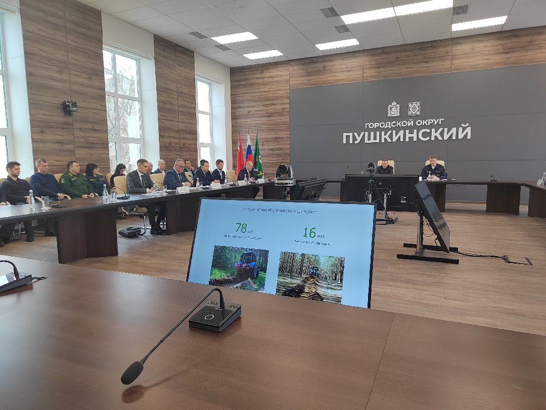 Пушкино, Пушкинский округ, пожар, МЧС, предупреждение спасение помощь, весна в Подмосковье, пожароопасный сезон