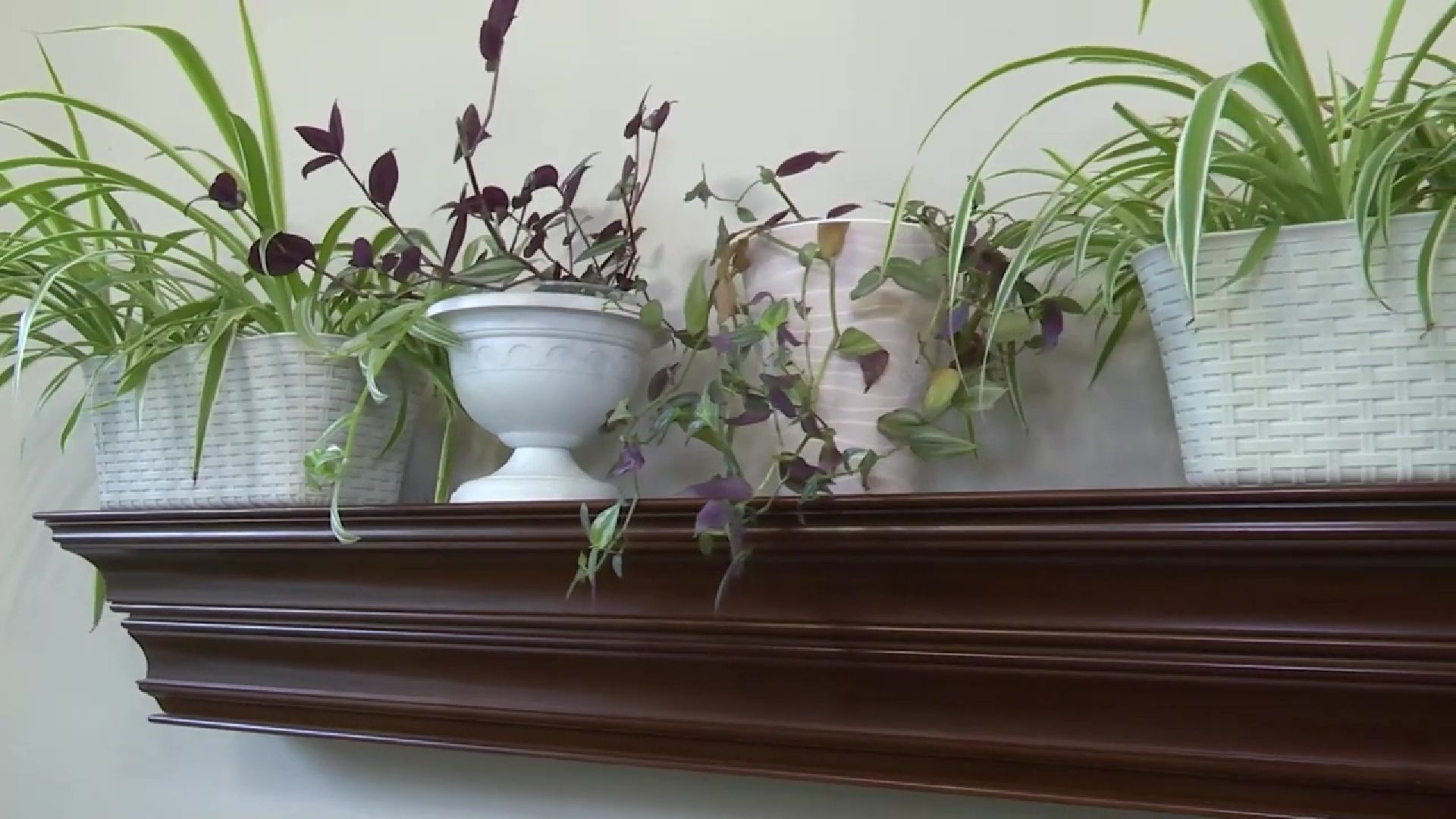 Реутов, благоустройство, ЖКХ, лучший дом, выбирает подмосковье, конкурс,