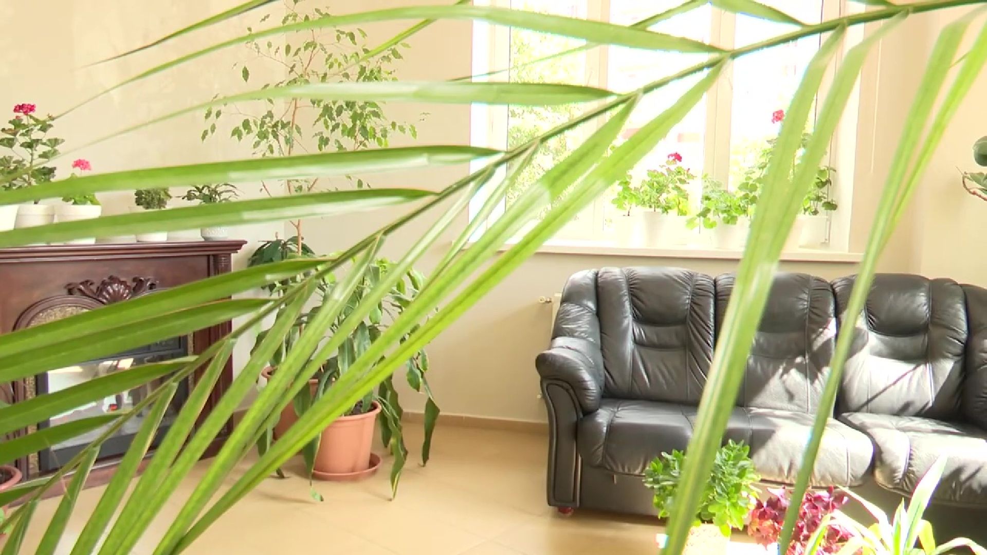 Реутов, благоустройство, ЖКХ, лучший дом, выбирает подмосковье, конкурс,