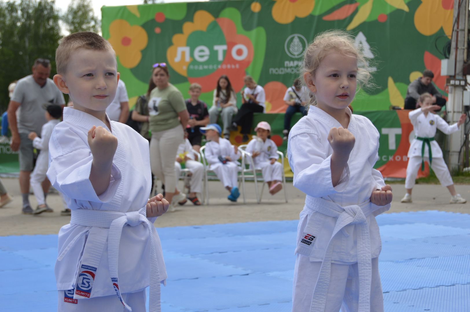 каратэ WKF, шатура, каратэ,