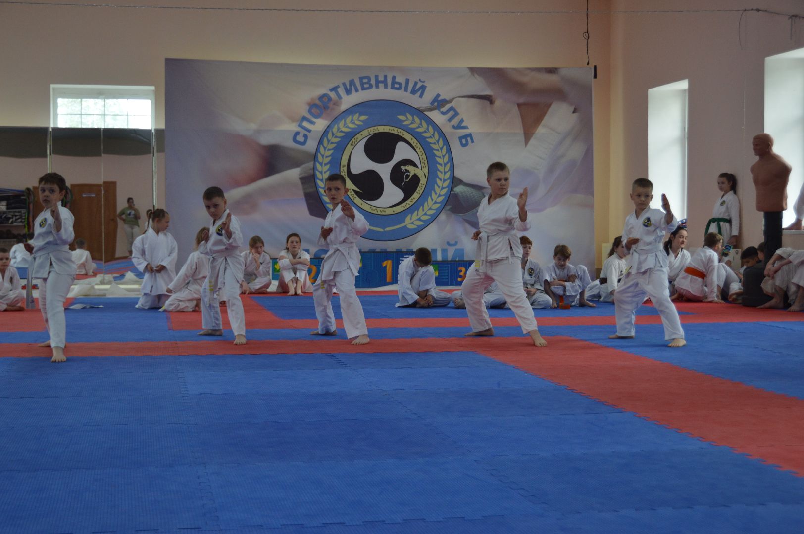 каратэ WKF, шатура, каратэ,