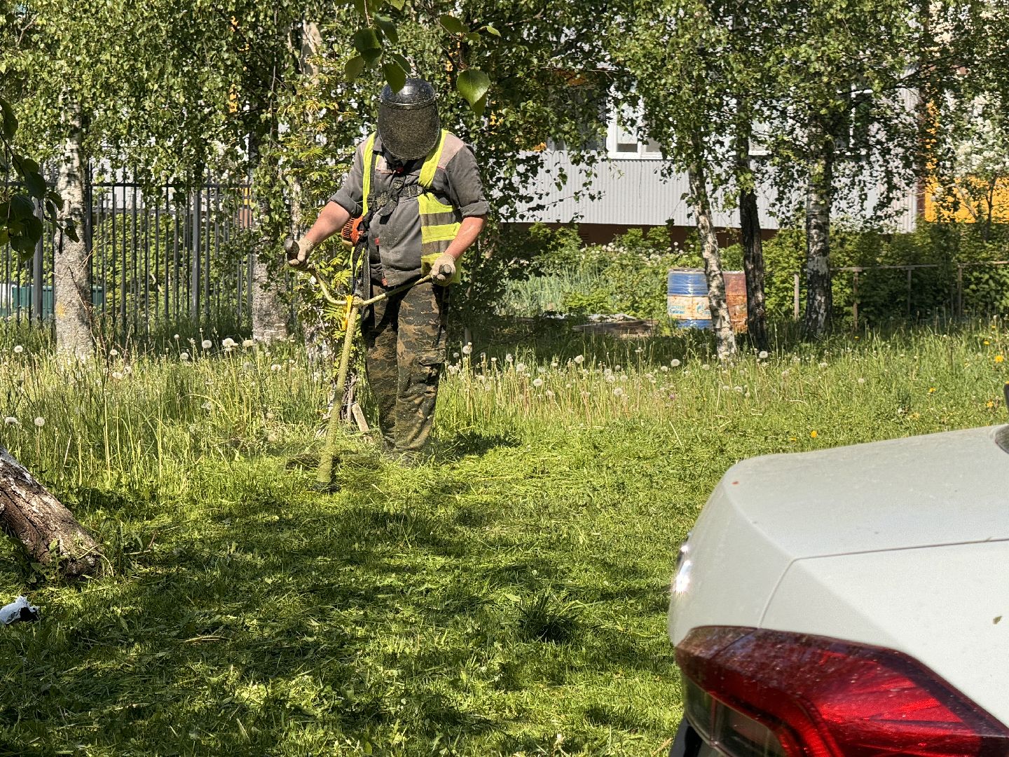 шаховская, покос травы, коммунальная служба,