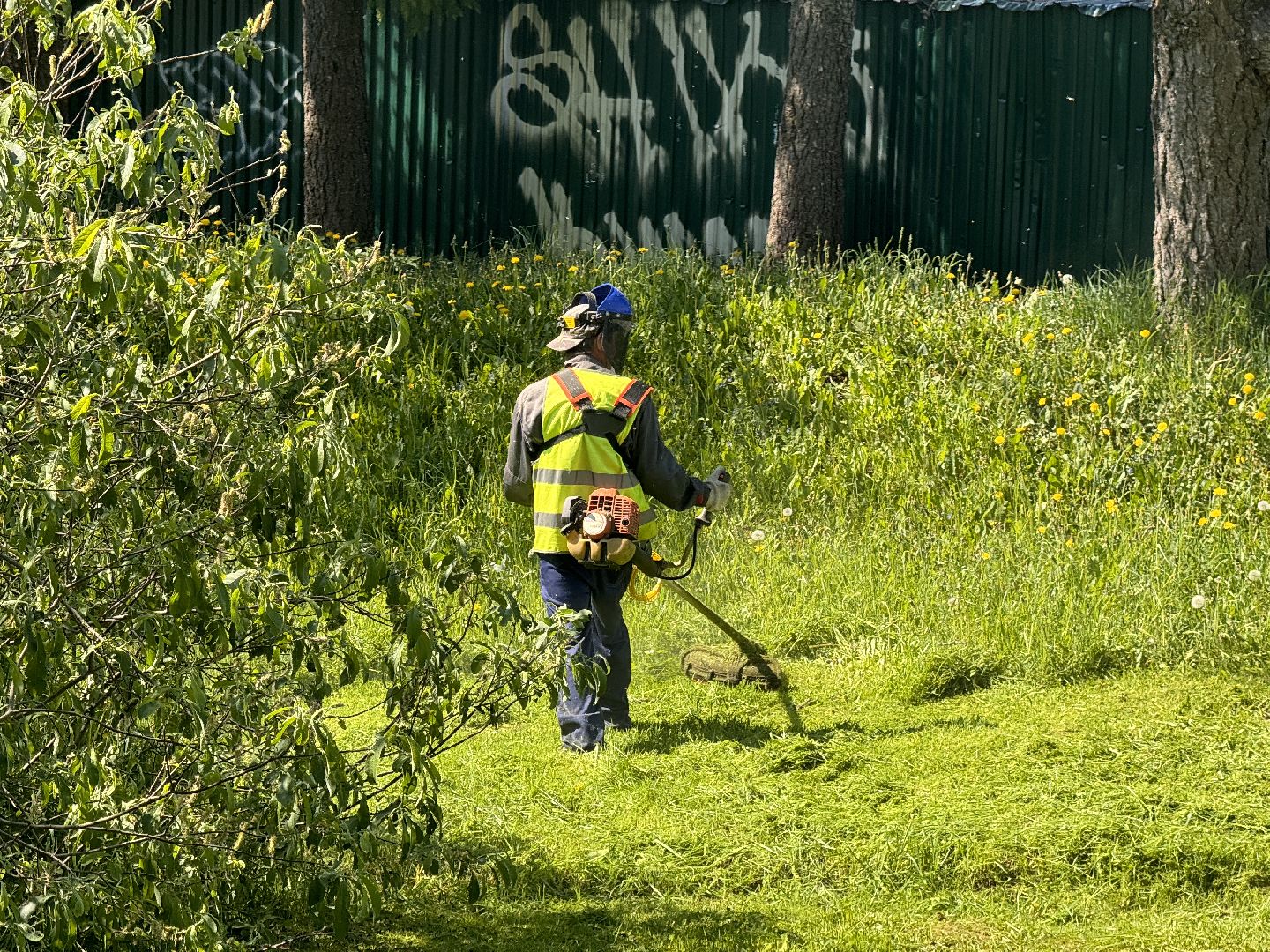 шаховская, покос травы, коммунальная служба,