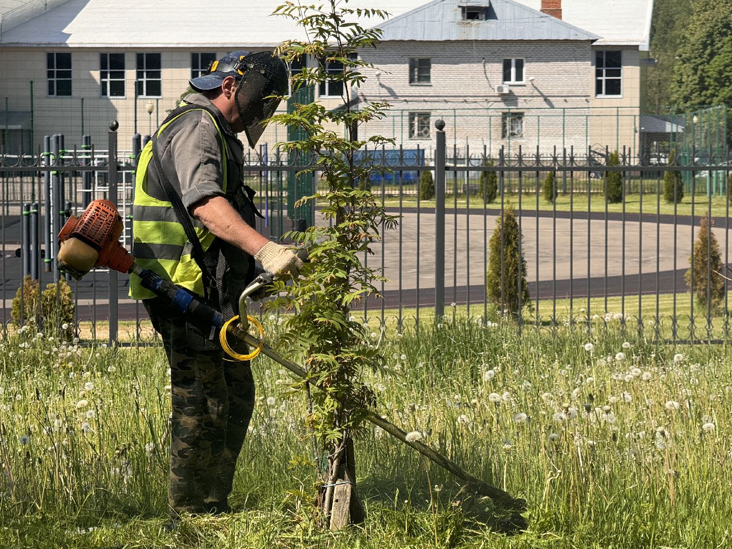 шаховская, покос травы, коммунальная служба,