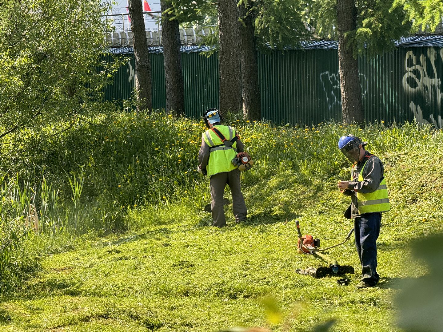 шаховская, покос травы, коммунальная служба,